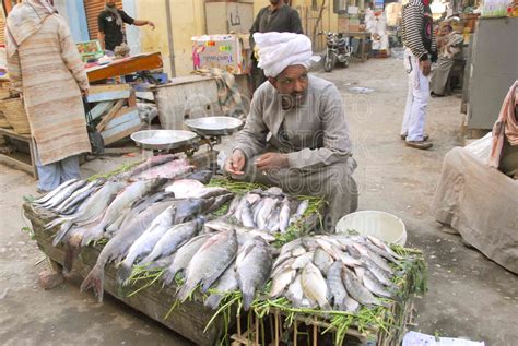 Photo Of Fish Seller By Photo Stock Source Market Luxor Nile River