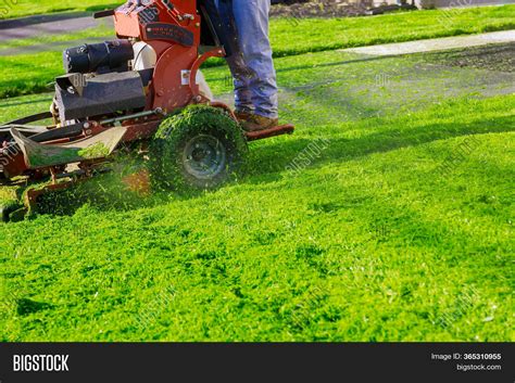 Man Cutting Grass His Image And Photo Free Trial Bigstock