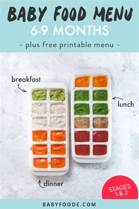 You can start giving your baby homemade porridge or cereals available as a ready mix in the market. 6-9 Month Old Baby Food Puree Menu (FREE Printable) - Baby ...