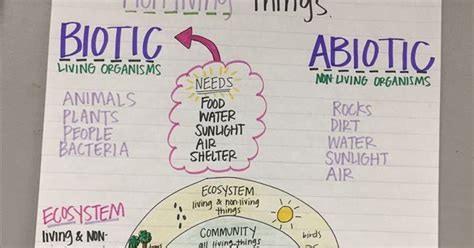 Ecosystem Anchor Chart Science Pinterest Anchor Charts School