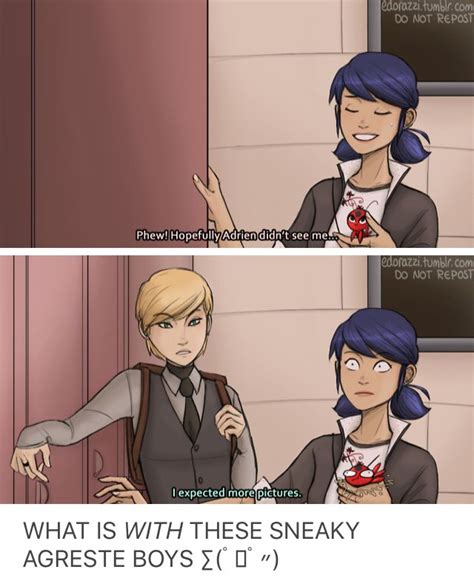 Pin By Carly Wetzel On Miraculous Miraculous Ladybug Anime