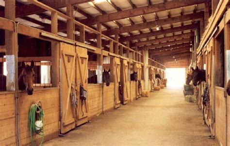 These barns are perfect for trainers and breeders alike. Lessons, Camps, & Training | Equamore Foundation