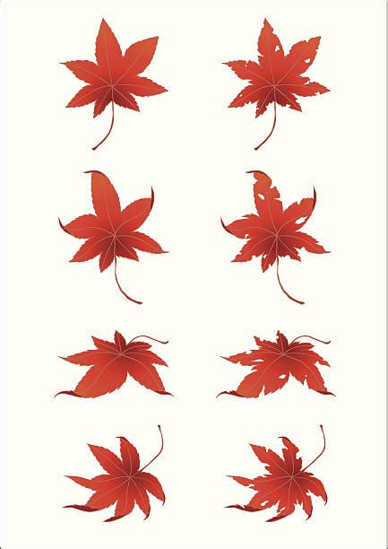 260 Japanese Maple Tree Cartoons Stock Photos Pictures And Royalty Free