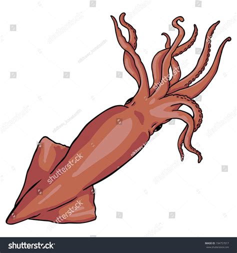 Vector Cartoon Squid Stock Vector 194757017 Shutterstock