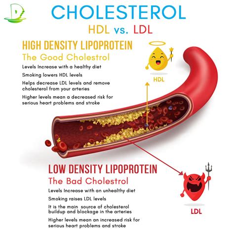Cholesterol Cholesterol Hdl Levels Diet