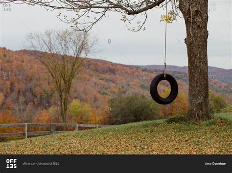 Tire Swing Hanging From A Tree By A Colorful Autumn Forest Stock Photo
