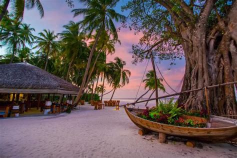 Aaaveee Natures Paradise Dhaalu Atoll Maldives Resort Reviews