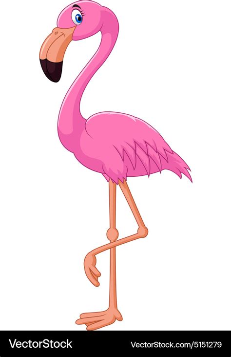 Cartoon Flamingo Royalty Free Vector Image Vectorstock