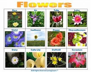 Print Off This Quot Flowers Quot Chart Loving2learn Com Flower Images