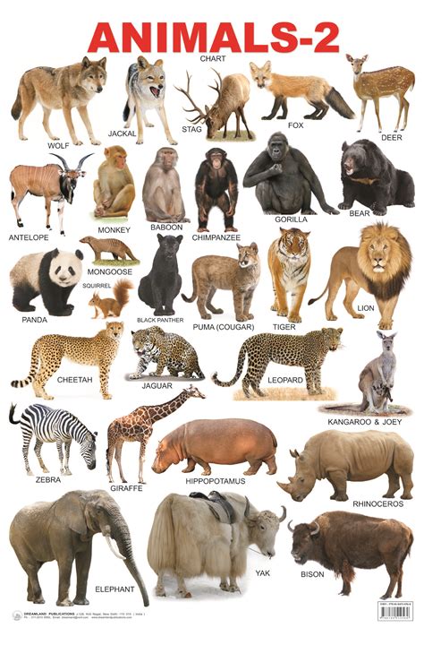 All Animals Name In English Pdf
