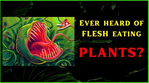 Top 10 Fascinating Facts About Plants Himaal Sharma Unacademy Youtube