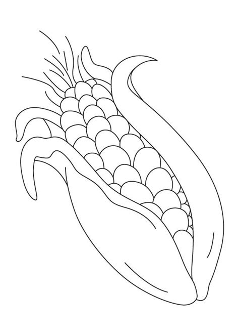 Printable Indian Corn Coloring Page - Food Ideas