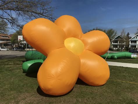 From $19.99 · 20% off all items · same day delivery Hope Blooms Ohio's inflatable flowers blossom throughout ...