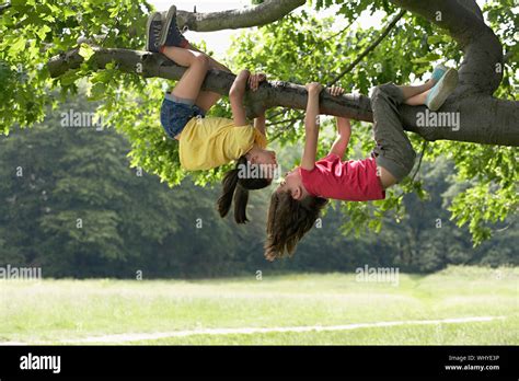 Full Length Of Playful Girls Hanging Upside Down From Tree Branch Stock