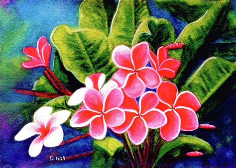 Hibiscus flower canvas art acrylic painting jaxsology. Hawaii Tropical Plumeria Flower #159 Painting by Donald K Hall
