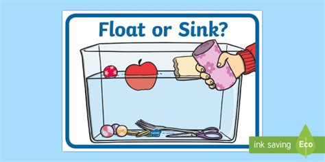Float Or Sink Poster Teacher Made