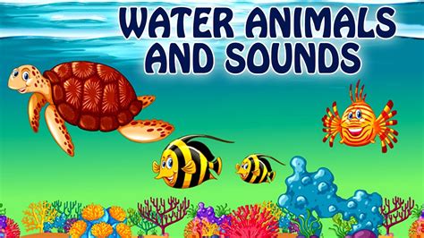 Learn Sea Animals Names And Sounds Real Sea Animals For Kids