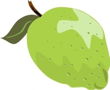 Lime Clipart Free Download | 23 Lime free illustrations