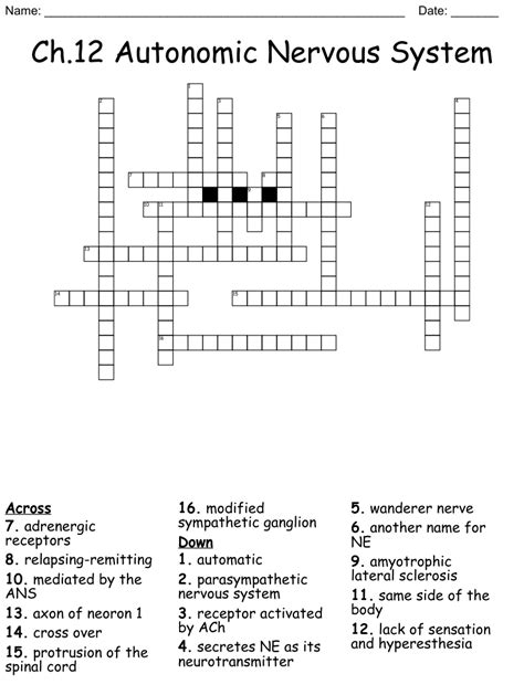 Ch12 Autonomic Nervous System Crossword Wordmint