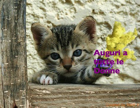 Le immagini più belle per augurare una buona domenica le trovi qui! Frasi per la Festa della Donna: Auguri Romantici e Originali