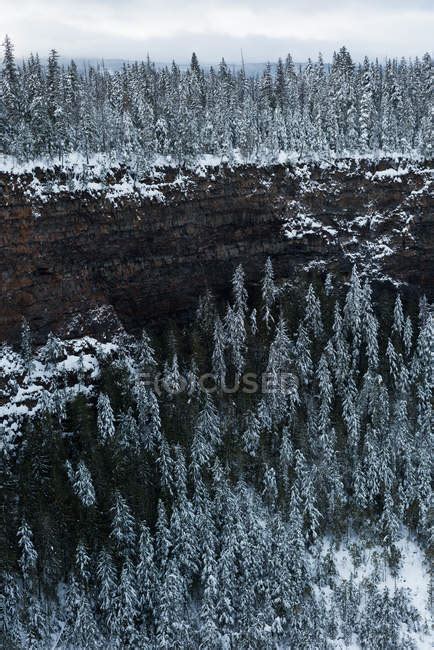View Of Mountain Cliff During Winter — Frozen Frost Stock Photo