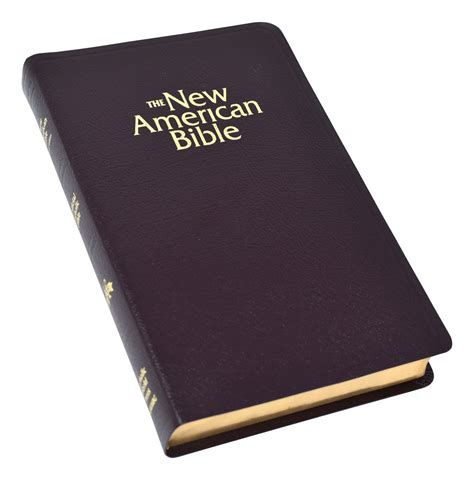 Catholic Book Publishing Nabre Deluxe T Bible