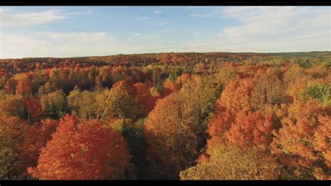 In the up put together this video of a spring anne curzan is an english professor at the university of michigan, and she joins us every sunday on michigan radio for that's what they say. 1000 Acres in Northern Michigan: 5 Houses, 7 Lakes and 10 ...