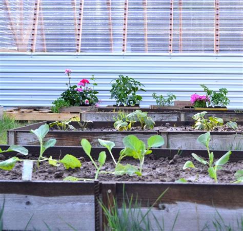 The raised planter bed gives you the ability to add a beautiful garden bed helps to keep the soil contained and reduce weeding. Barn Door | Ana White | Raised garden beds diy, Raised ...