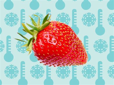 8 تا از بهترین روش های فریز کردن توت فرنگی با حفظ مزه برای مدت طولانی