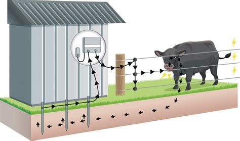 The size of charger needed is dependent upon your fencing needs. Electric Fencing Basics | Gallagher Electric Fence Usa ...