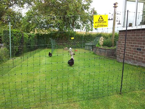 We offer innovative products that will give you peace of mind knowing at a glance that your electric fence is doing its job and. Check Your Chickens | Electric Fencing Direct
