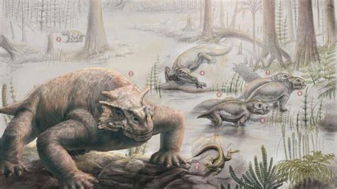 Earth Recovered 10 Million Years After Permian Triassic Mass Extinction