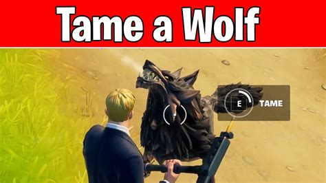 How To Tame A Wolf In Fortnite Season 6 Fortnite Challenges How To Find Wolves Spawn