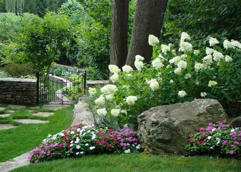 Just Gorgeous Hydrangea Landscaping Hydrangea Garden Hydrangeas