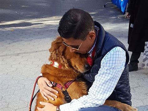 12 Adorable Pics Of Dogs Hugging Their Owners Dogs Hugging Celebrity