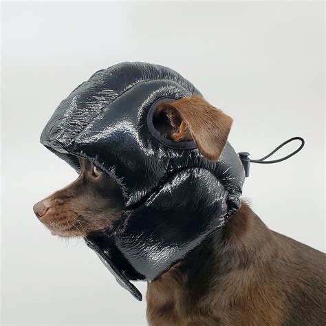 These One Off Dog Helmets Are Designed To Give Your Pooch Sweet Dreams