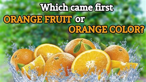 Which Came First Orange Fruit Or Orange Color Uncharted Wonders Youtube