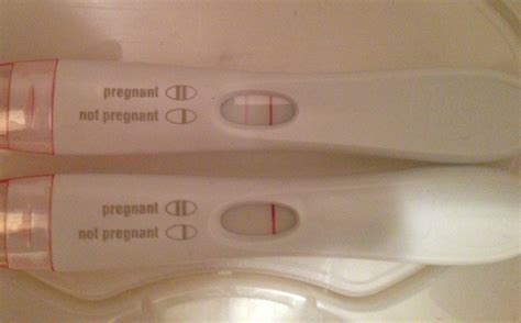 A blood vessel has begun to form, which will become the heart. pregnancy - ReeWrite