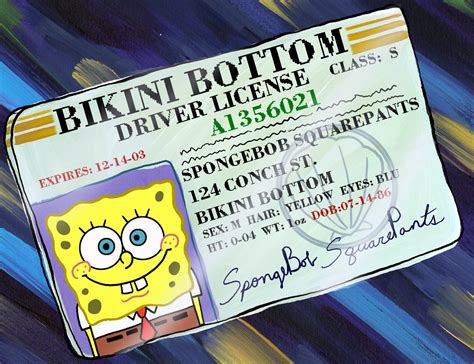 Spongebobs Drivers License Encyclopedia Spongebobia Fandom