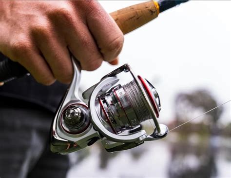 Soft Baitshop Com Daiwa Procyon Al Spinning Reel New Collection Online