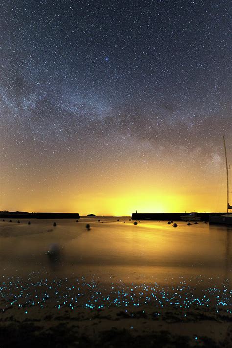 Milky Way Over Bioluminescent Plankton Photograph By Laurent Laveder