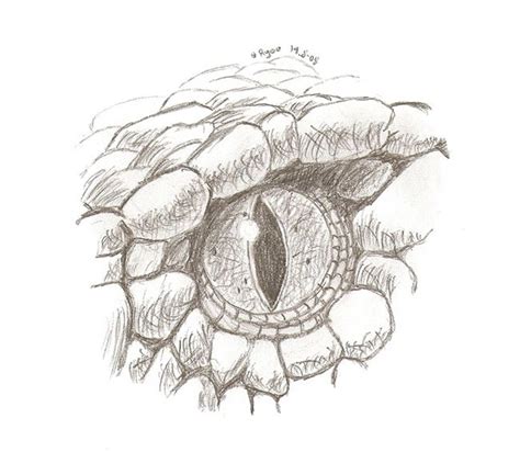 Snake Eye Drawing ~ Eye Snake On Behance Dekorisori