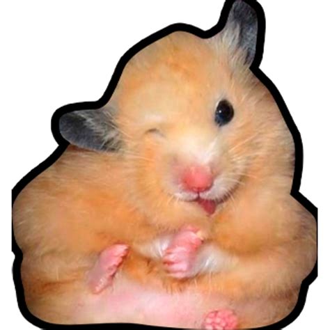 Sticker Maker Hamsters Memes
