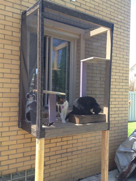 Cat Porch Attached To House And All Enclosed Cat Enclosure Outdoor Cat