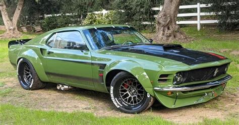 The Ruffian Mustang Looking Incredible In The Grass Love How The Tail