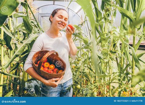 Gardening And Agriculture Concept Young Woman Farm Worker With Basket