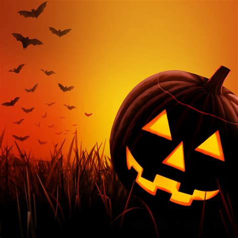 Halloween Pumpkins Hd O Dia Das Bruxas Fundo Preto Lanterna De Abóbora