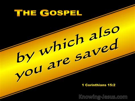 1 Corinthians 152 The Gospel By Which You Are Saved Gold