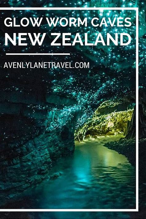 And the glow worm tunnel was something to behold!! Glow Worm Caves In New Zealand - Avenly Lane Travel