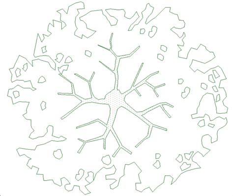 Tree With Top View Detailing Plan Dwg File Cadbull